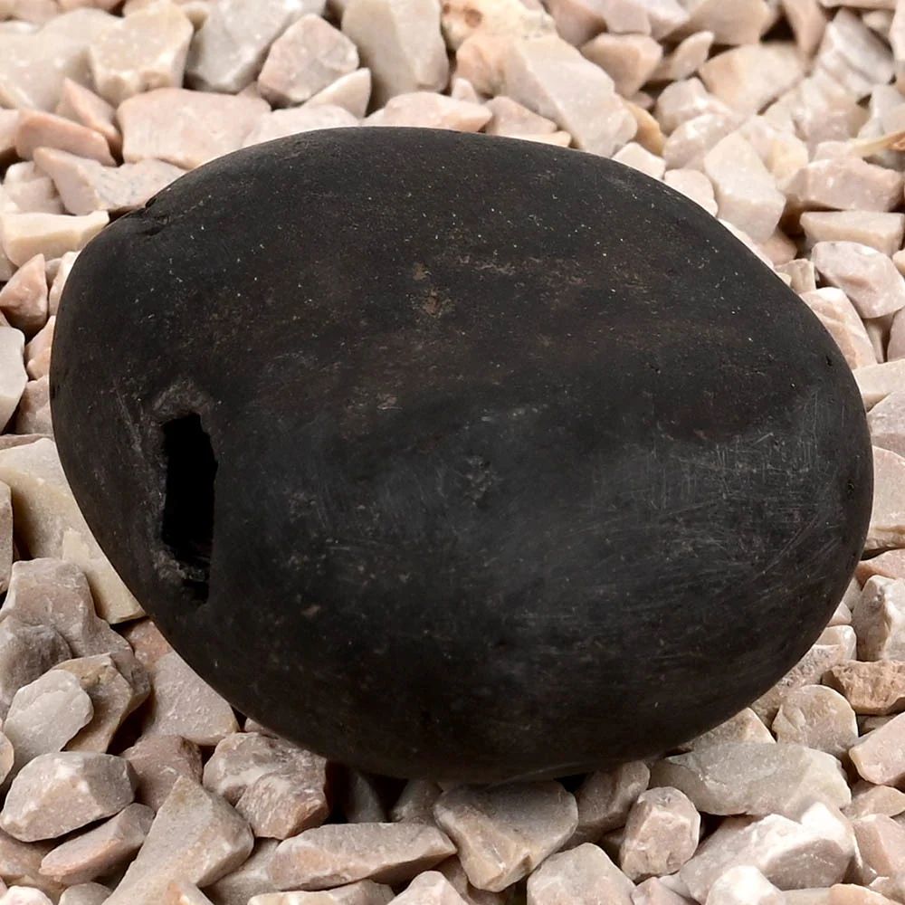 Chakradhari Narsimha Shaligram Shila — view 3