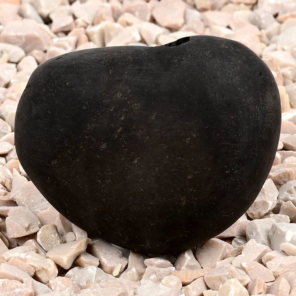 Chakradhari Narsimha Shaligram Shila — view 4