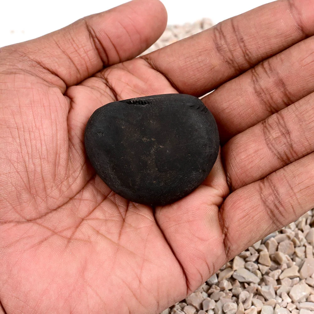 Chakradhari Narsimha Shaligram Shila — view 6