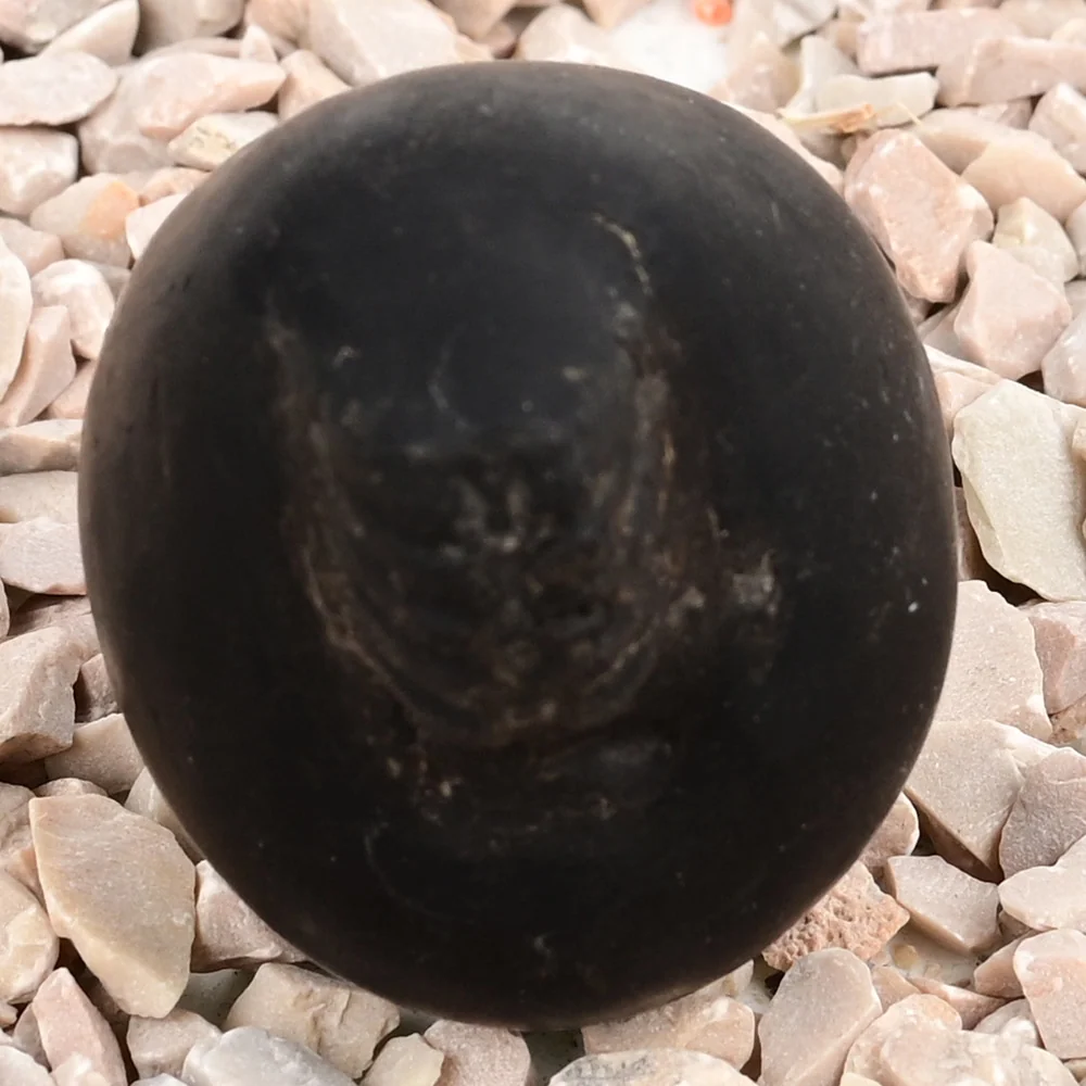 Laxmi Varaha Shaligram Shila — view 7