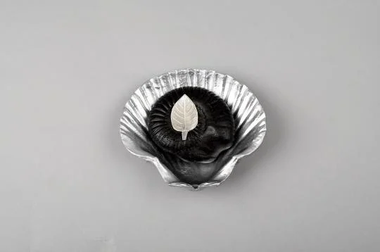 Laxmi Narayana Shaligram Shila