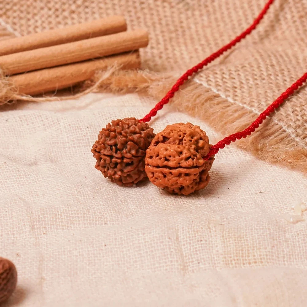 Budh-Shani Gyaan Kavach – 4 & 14 Mukhi Rudraksha — Nepal photo 3