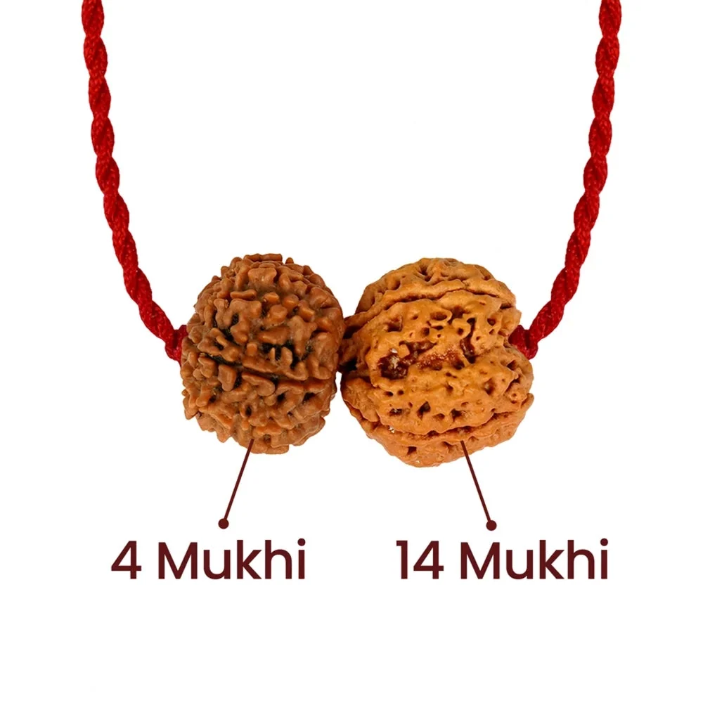 Budh-Shani Gyaan Kavach – 4 & 14 Mukhi Rudraksha — Nepal photo 2