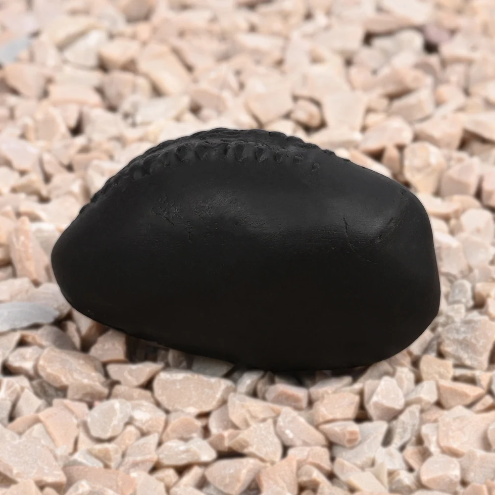 Hayagriva Laxmi Shaligram Shila — 43 g — view 5