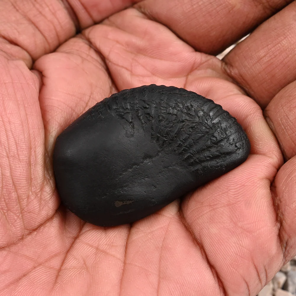 Hayagriva Laxmi Shaligram Shila — 43 g — view 6