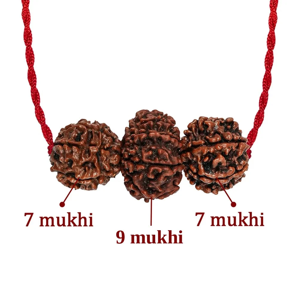Shakti Kavach – 7 & 9 Mukhi Rudraksha — Nepal photo 4