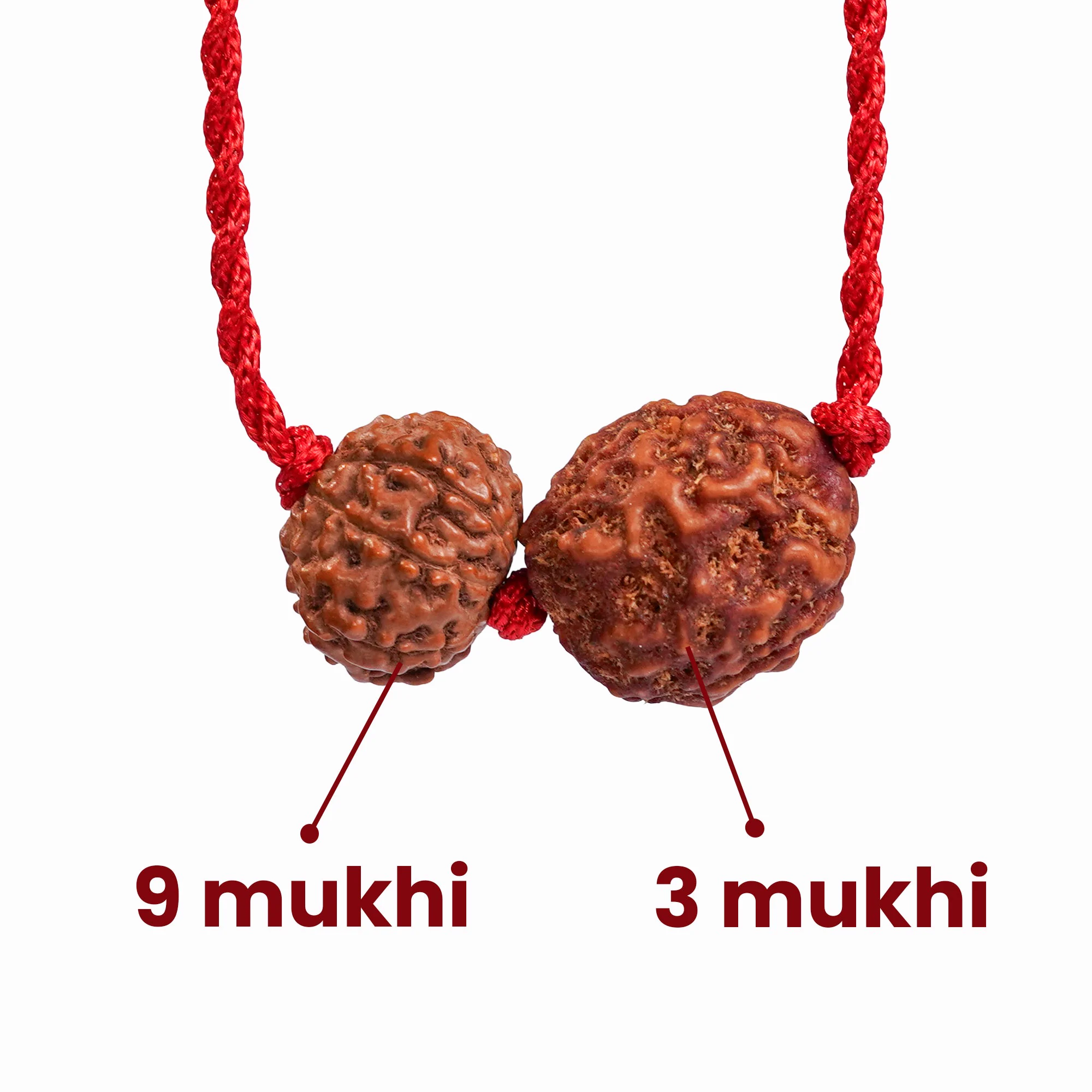 Scorpio Zodiac Rudraksha Kavach — Nepal photo 3