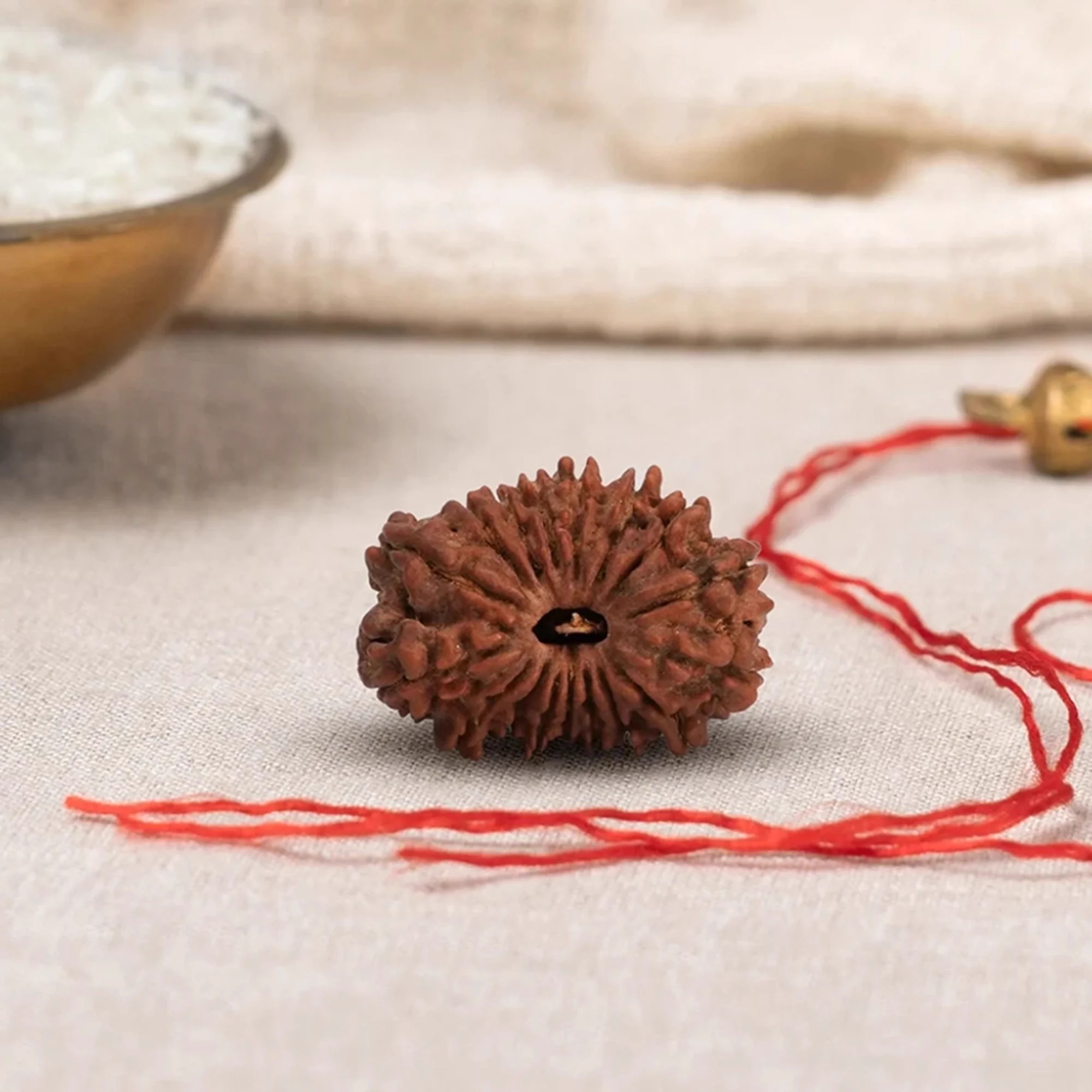 17 Mukhi Rudraksha – Original Nepali Collector Bead