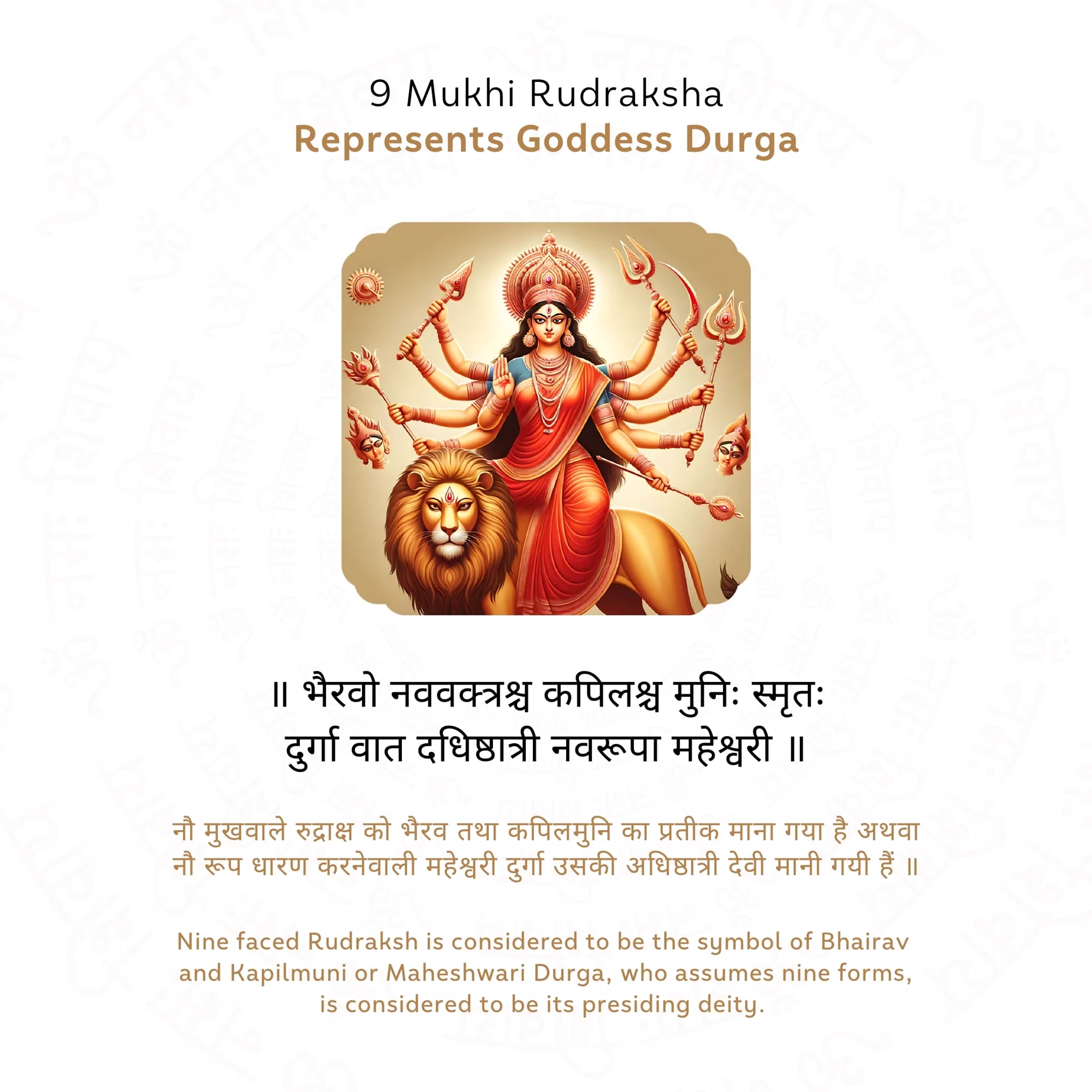 9 Mukhi Rudraksha ( Nepali ) — Nepal photo 4