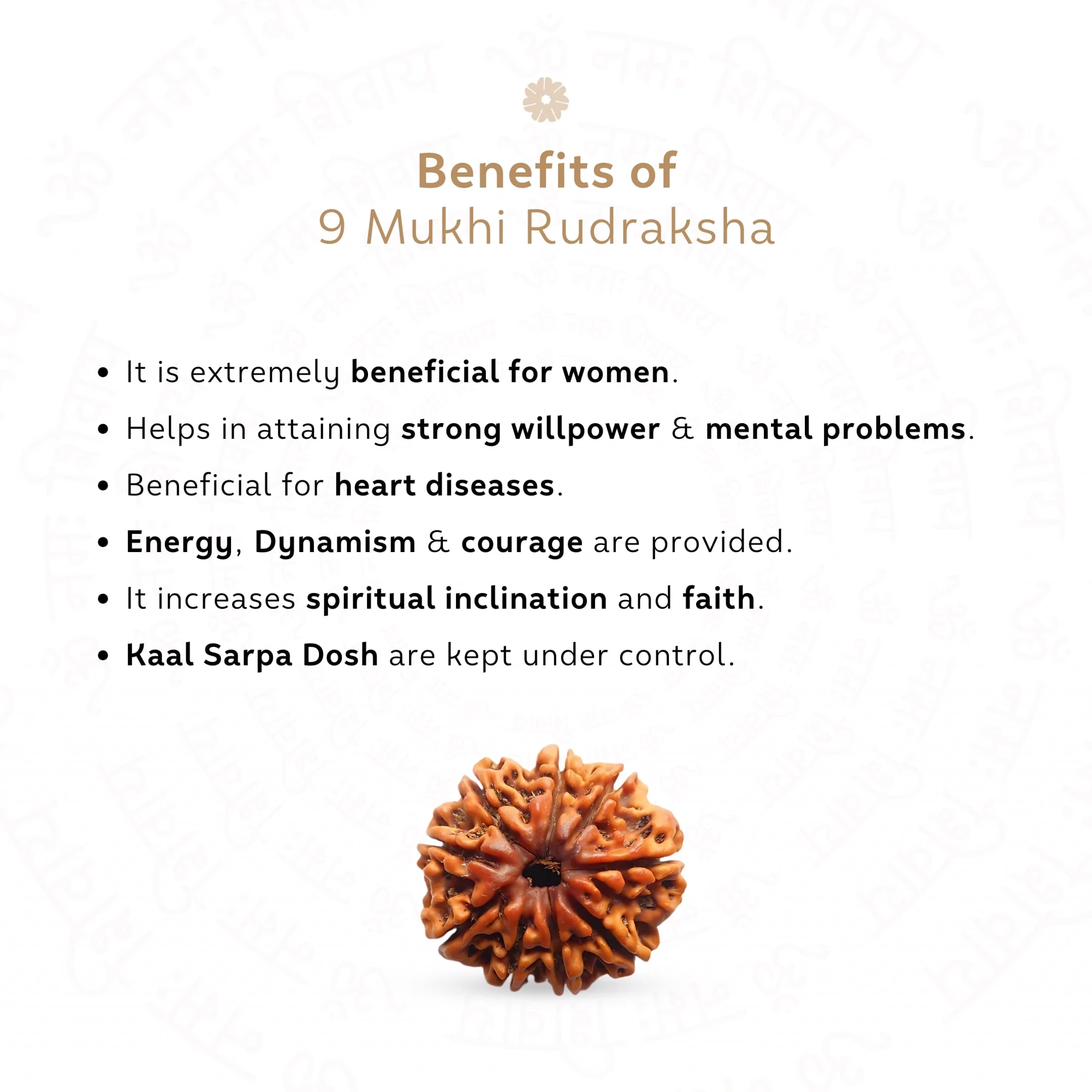 9 Mukhi Rudraksha ( Nepali ) — Nepal photo 3