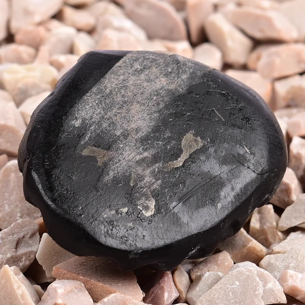 Swarna Laxmi Shaligram Shila — 15 g — view 4