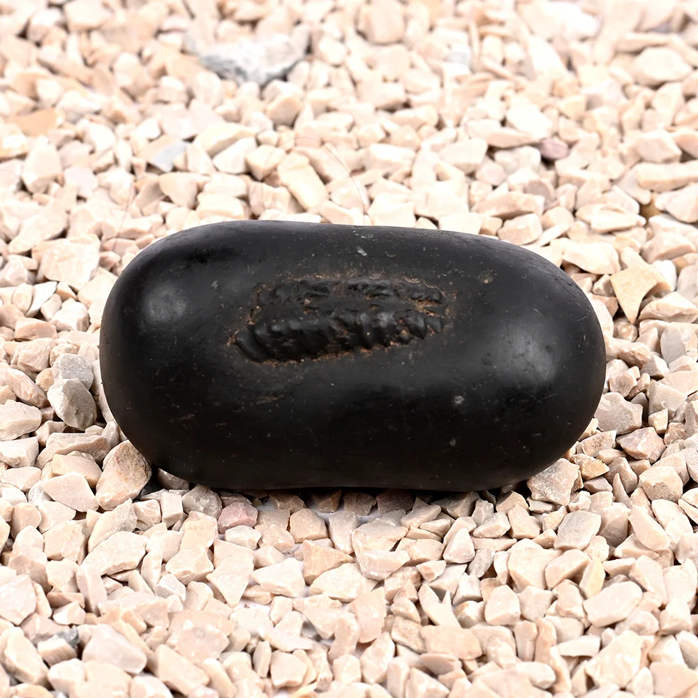 Santan Gopal Shaligram Shila — 140 g