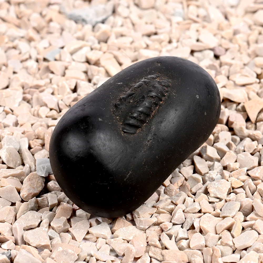 Santan Gopal Shaligram Shila — 140 g — view 2