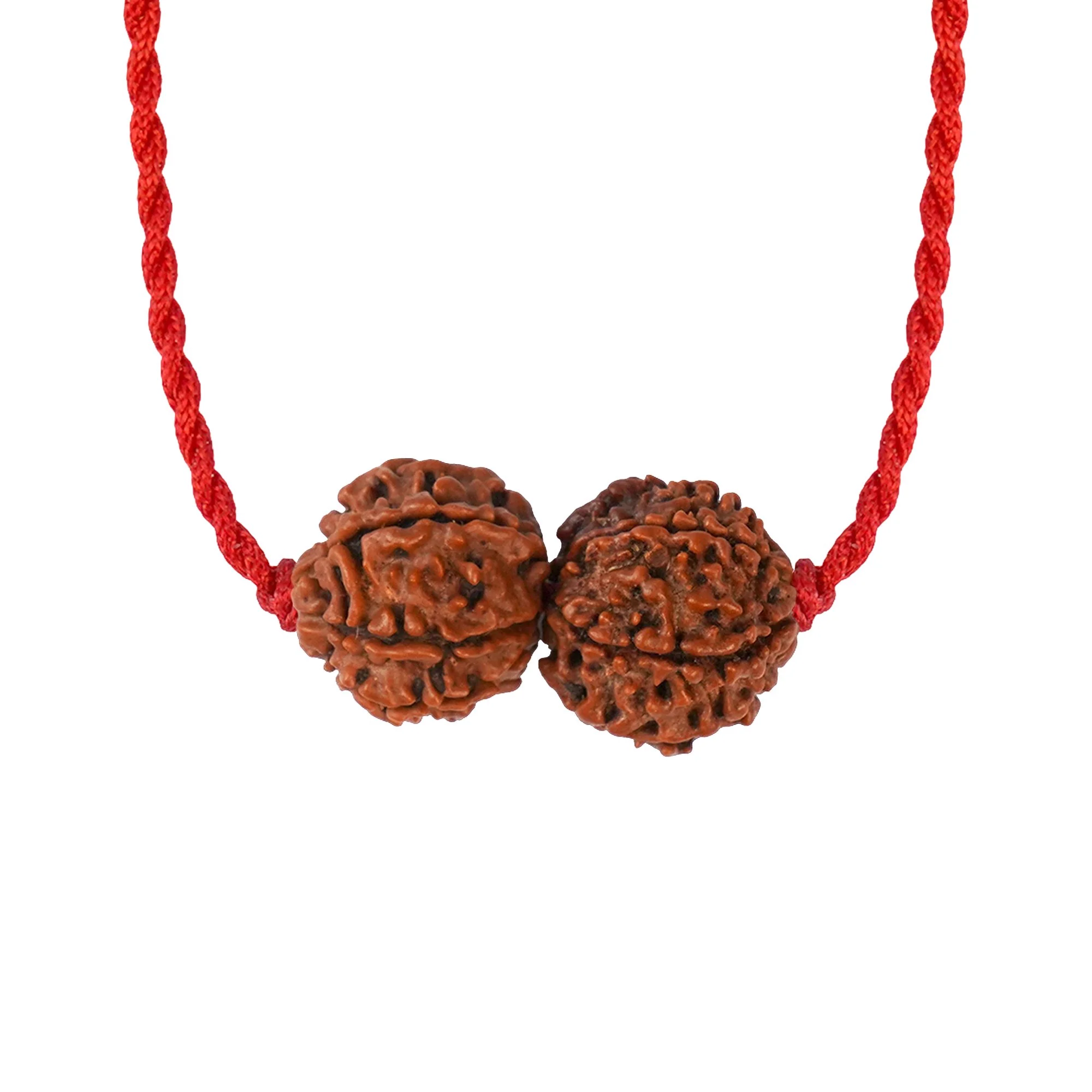 Shani-Rahu Kavach – 7 & 8 Mukhi Nepali Rudraksha