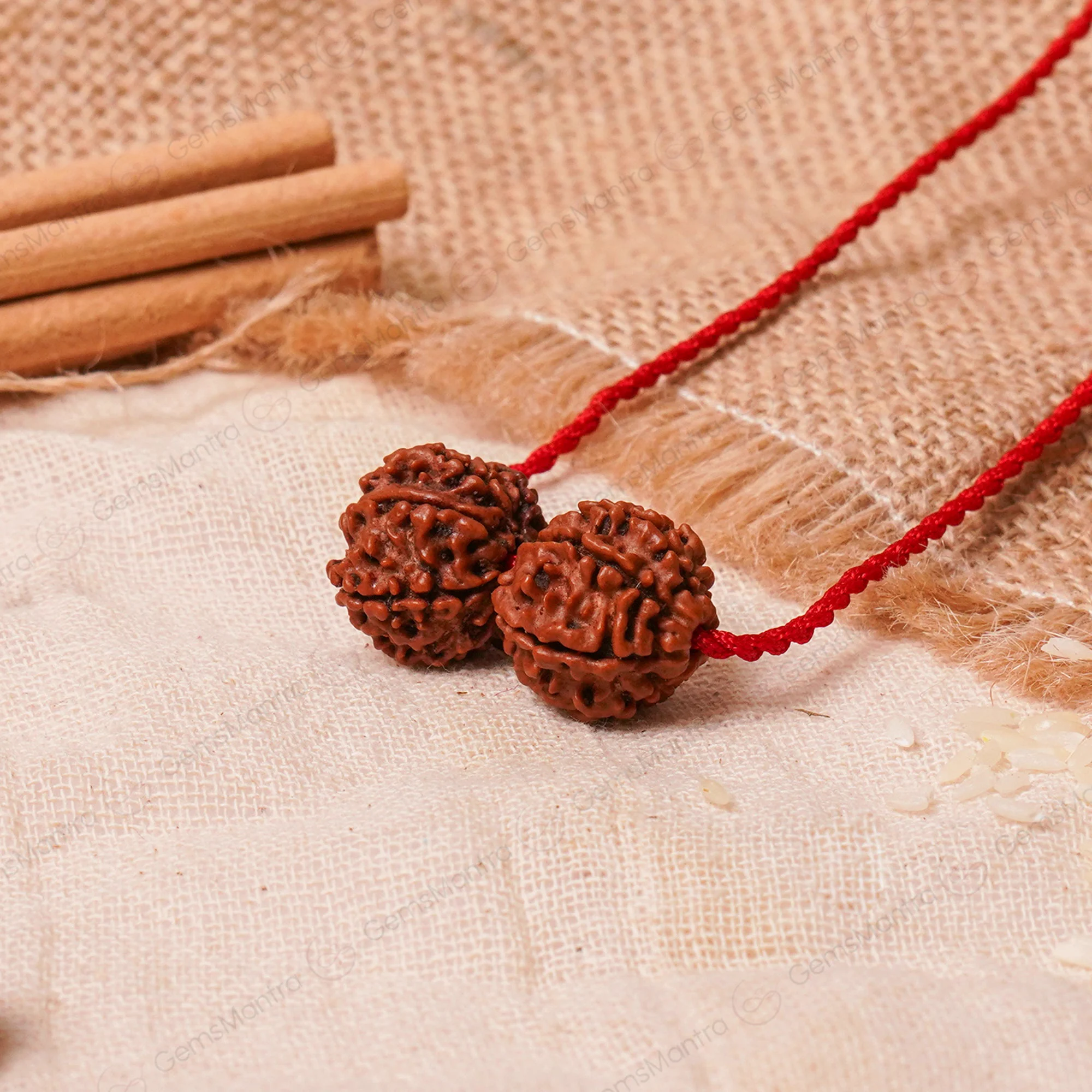 Shani-Rahu Kavach – 7 & 8 Mukhi Nepali Rudraksha — Nepal photo 2