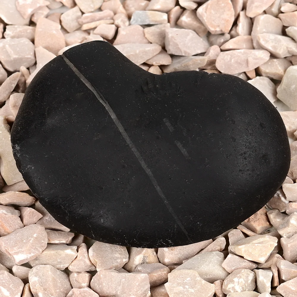 Laxmi Narayan Varana Shaligram Shila — view 4