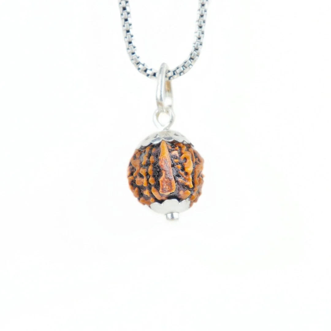 Ganesh Mukhi Rudraksha Silver Capping Pendant ( Nepali )