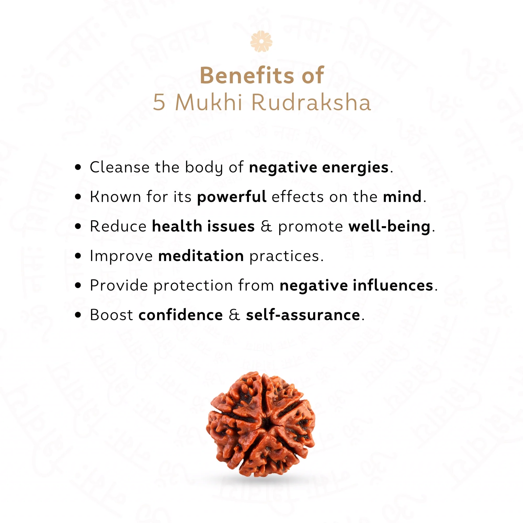 Buy Orignal 5 Mukhi Rudraksha ( Nepali ) Online at Best Price — Nepal photo 3
