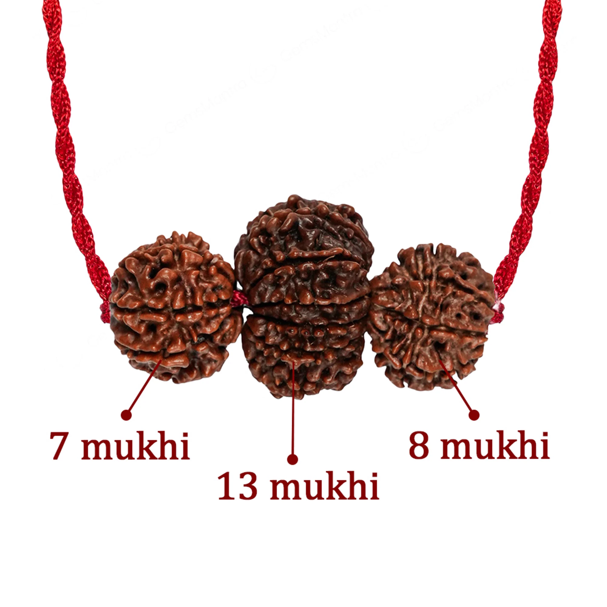 Sales Siddhi Kavach – 7, 8 & 13 Mukhi Rudraksha — Nepal photo 3