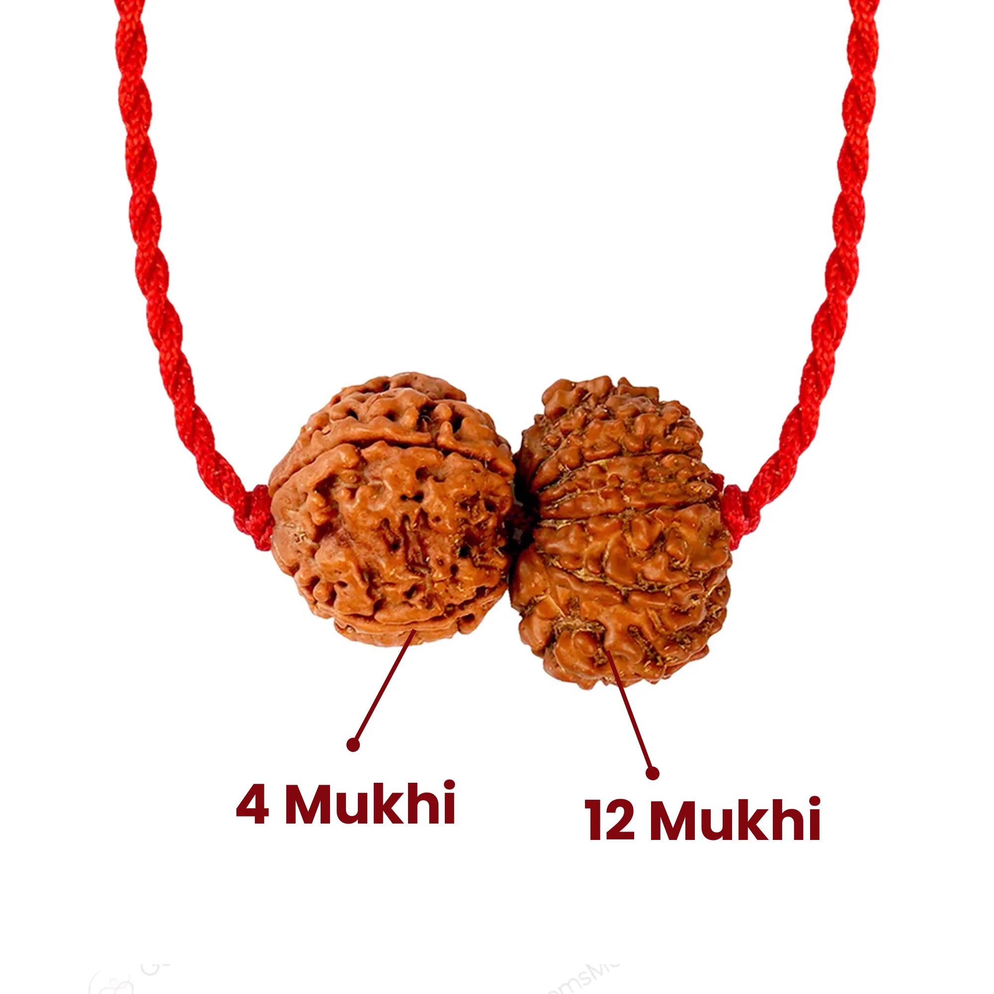 Budh Aditya Yog Kavach – 4 & 12 Mukhi Rudraksha — Nepal photo 3