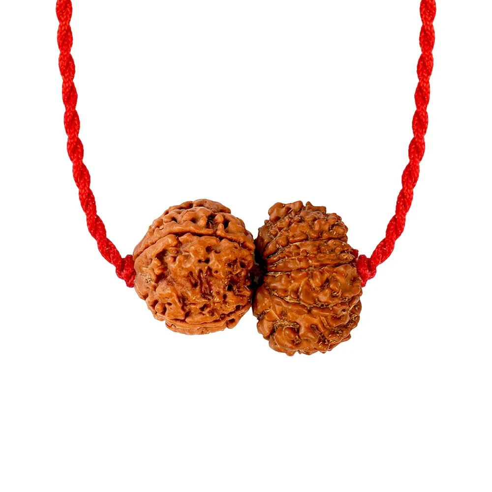 Budh Aditya Yog Kavach – 4 & 12 Mukhi Rudraksha