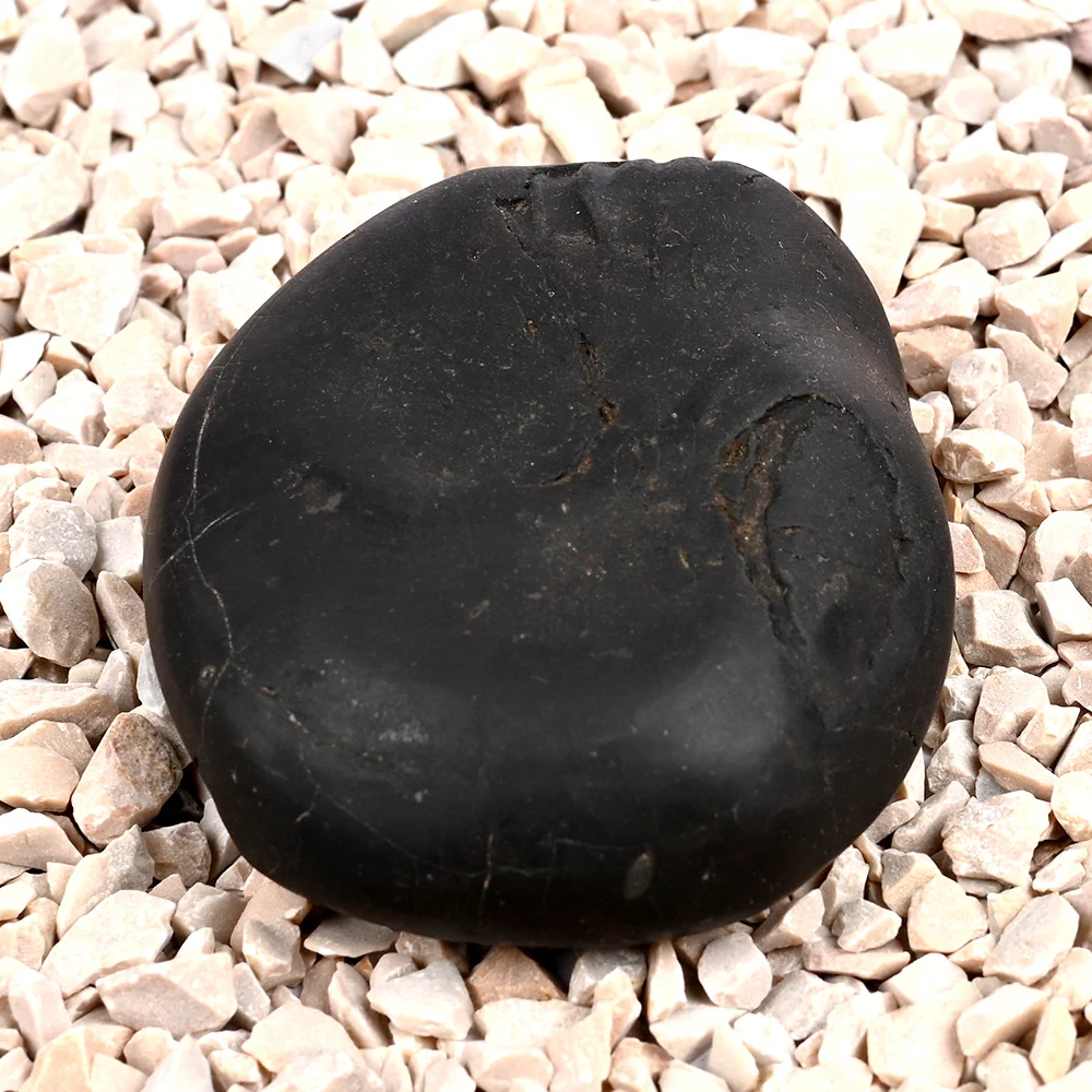 Laxmi Kalki Avatar Shaligram Shila — view 2