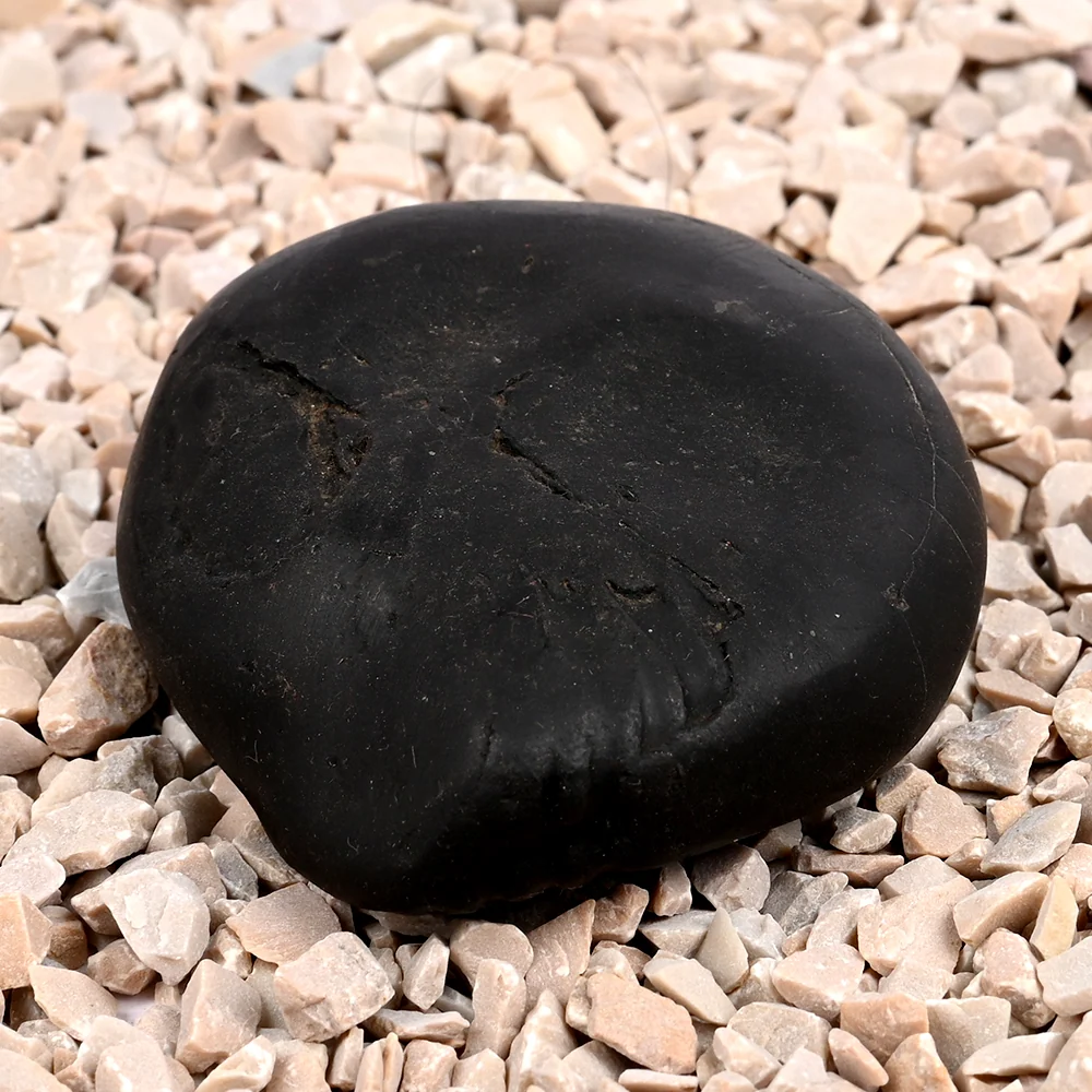 Laxmi Kalki Avatar Shaligram Shila — view 3