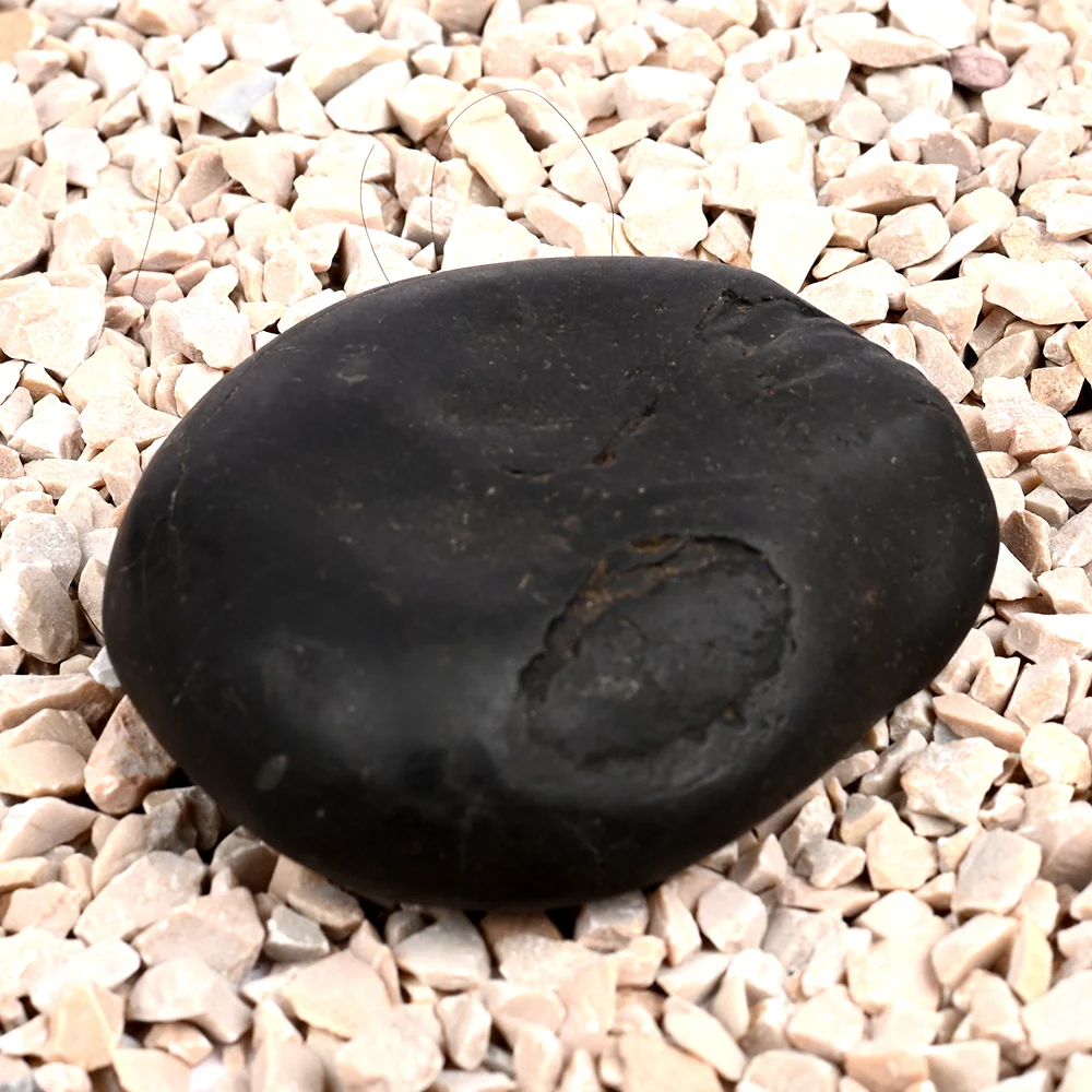 Laxmi Kalki Avatar Shaligram Shila — view 4