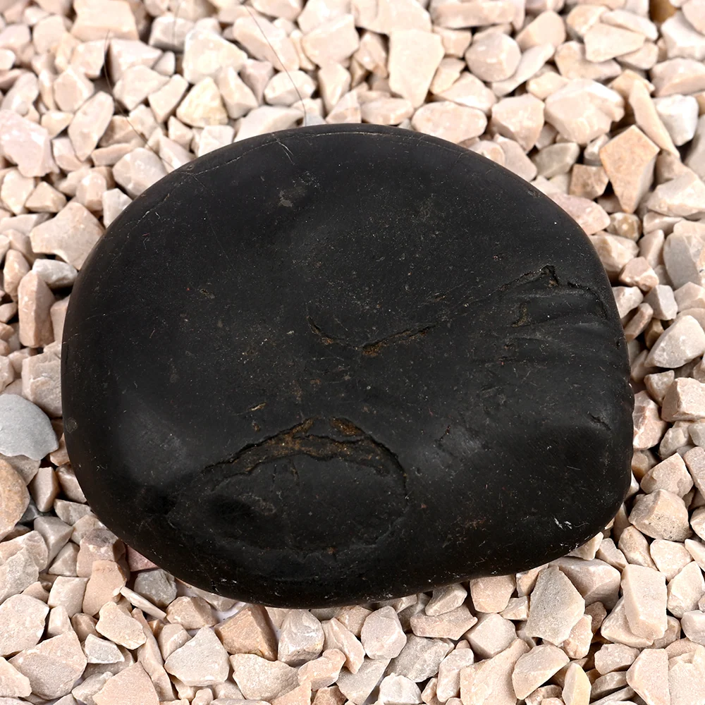 Laxmi Kalki Avatar Shaligram Shila — view 5
