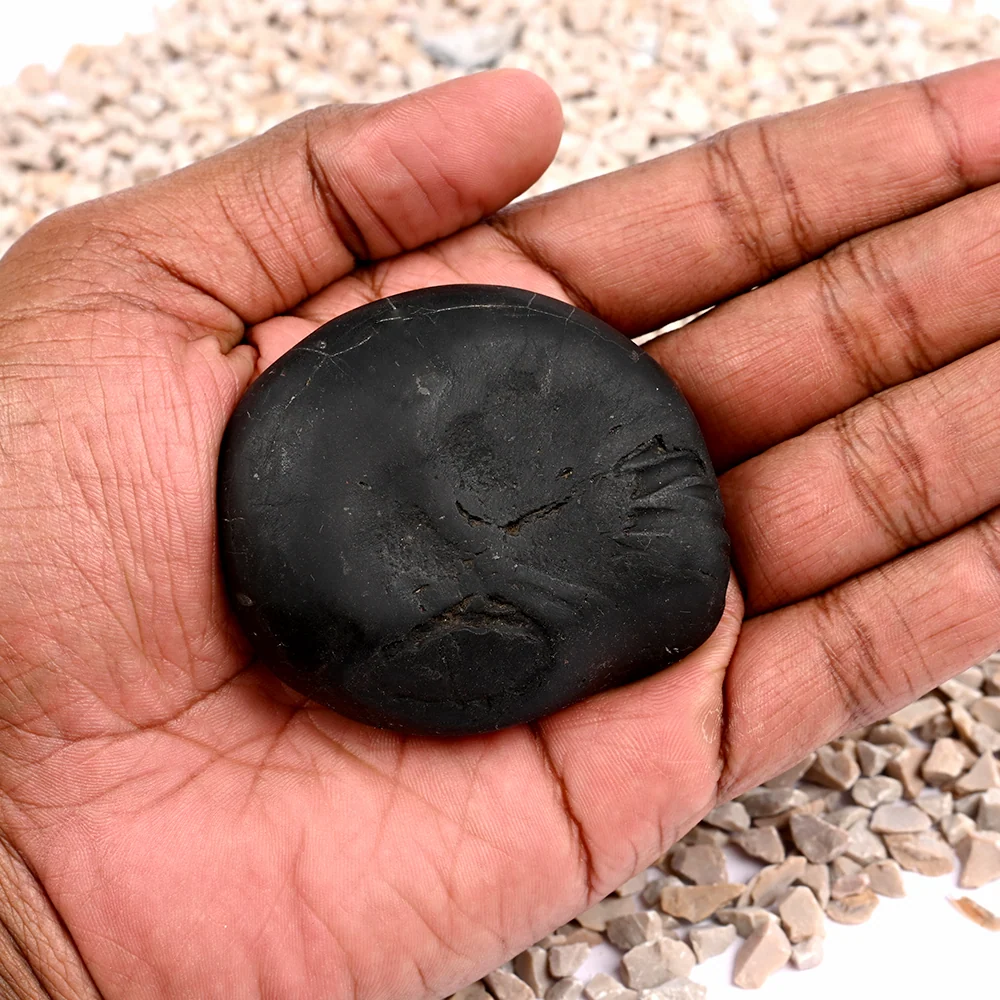 Laxmi Kalki Avatar Shaligram Shila — view 6
