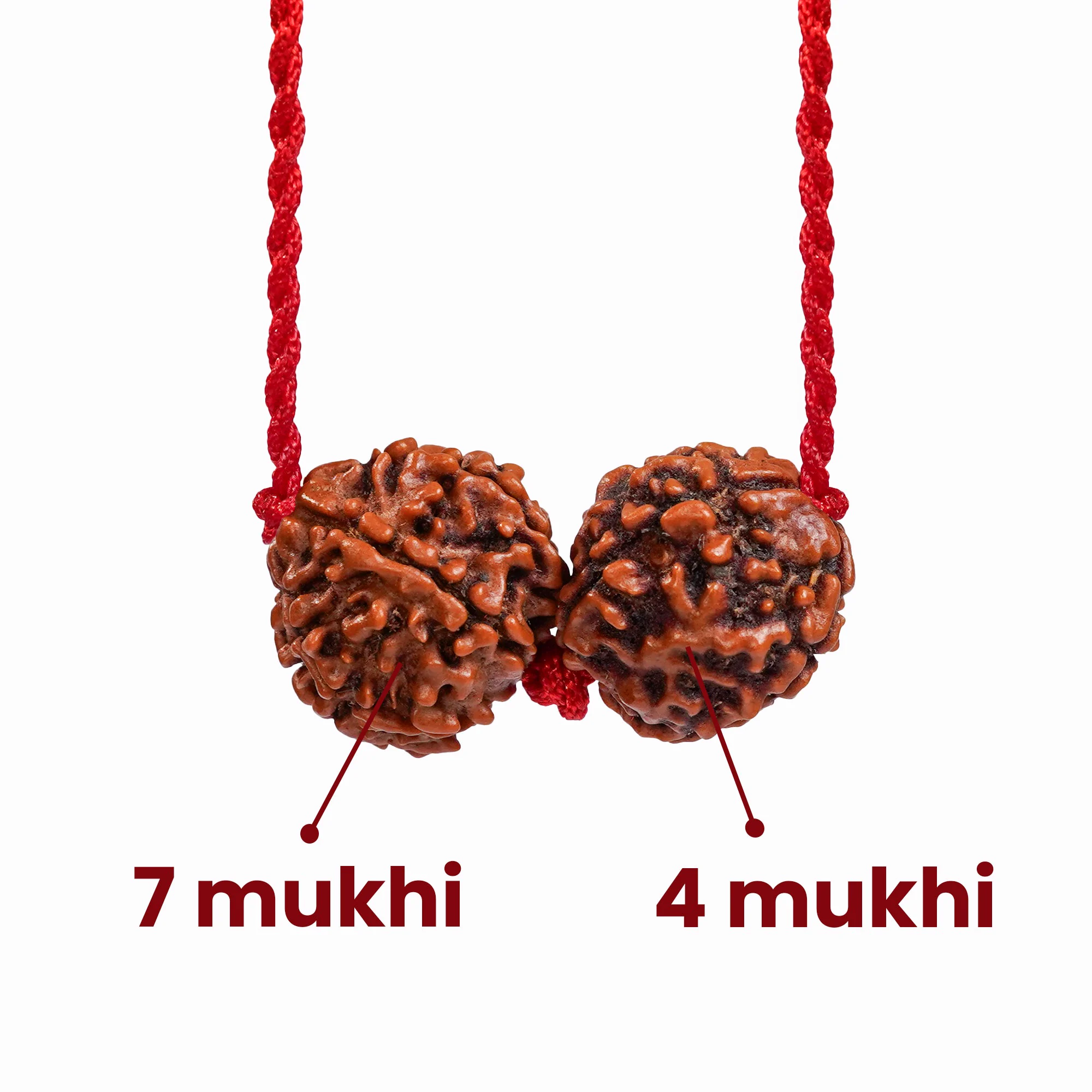 Virgo Zodiac Rudraksha Kavach — Nepal photo 3