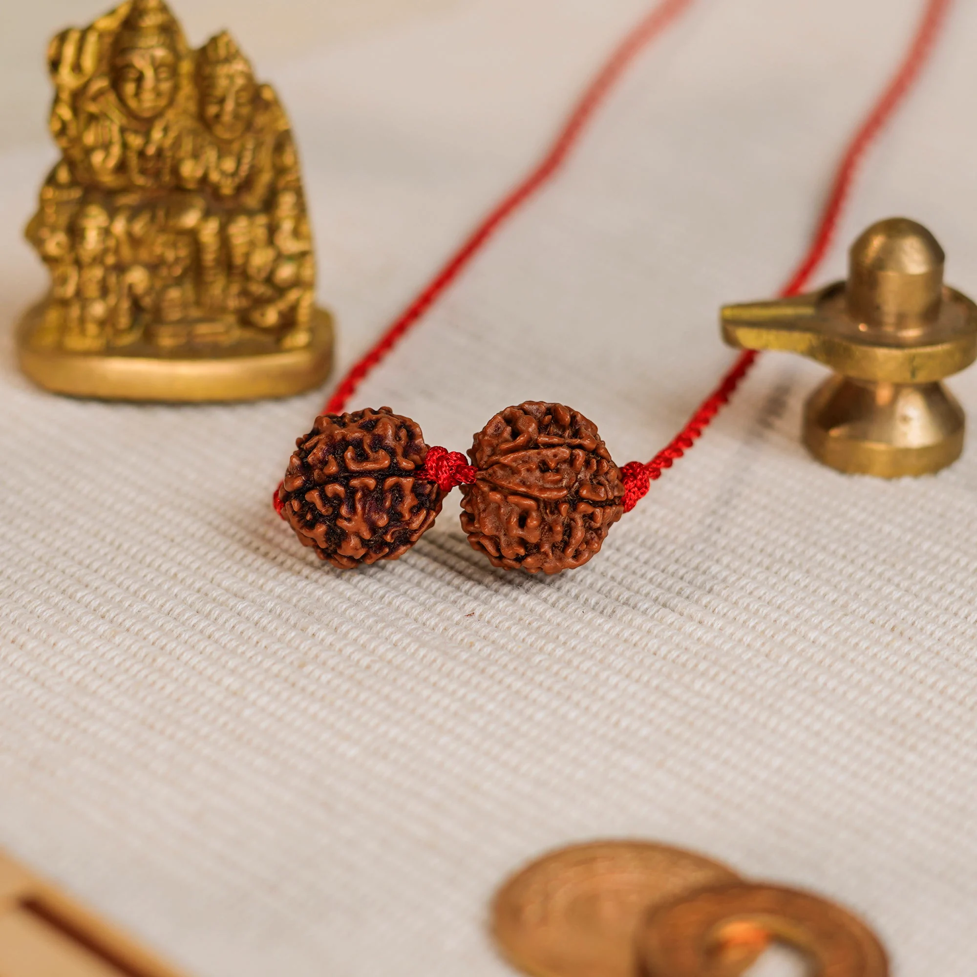 Virgo Zodiac Rudraksha Kavach
