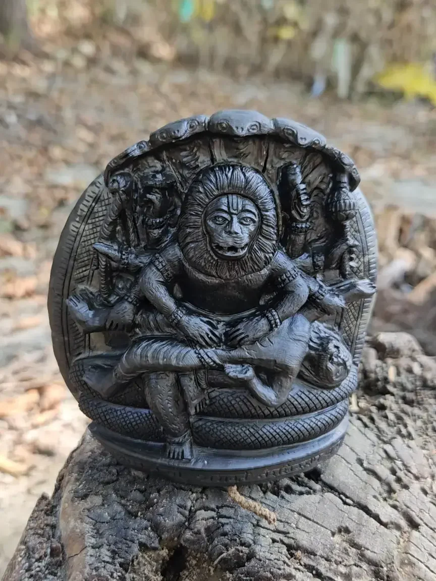 Ugra Narasimha Shaligram Murti