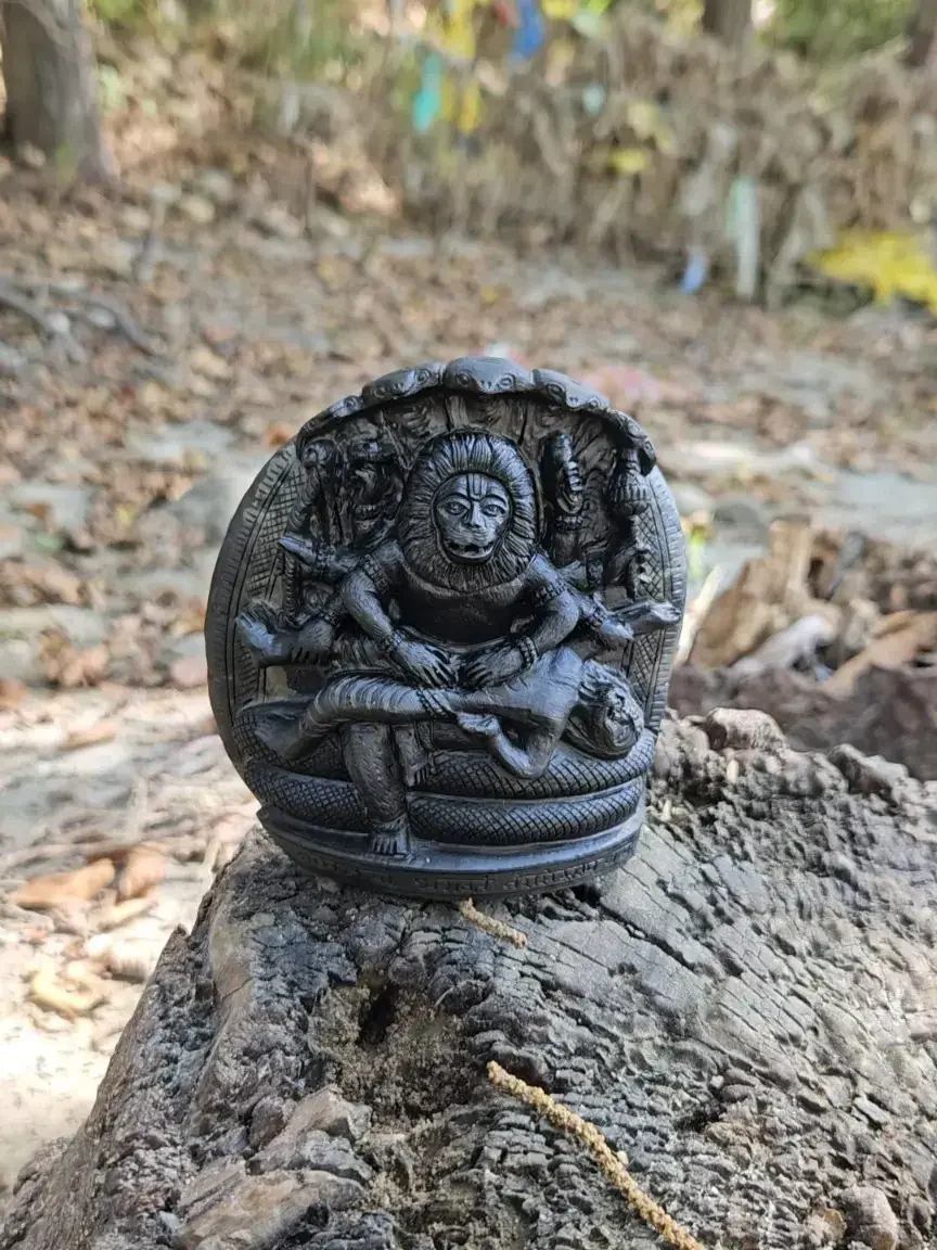 Ugra Narasimha Shaligram Murti — view 2