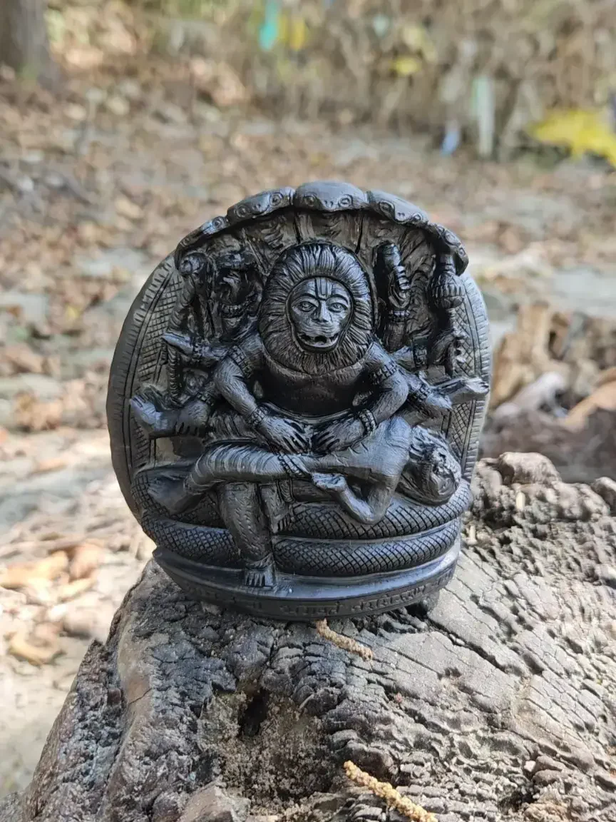 Ugra Narasimha Shaligram Murti — view 3