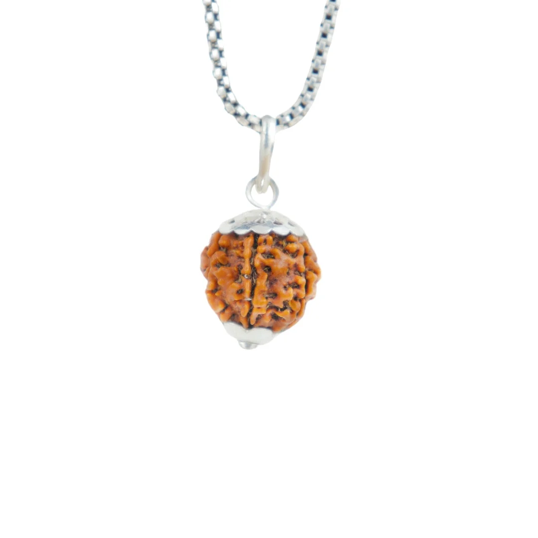 7 Mukhi Rudraksha Silver Capping Pendant ( Nepali )