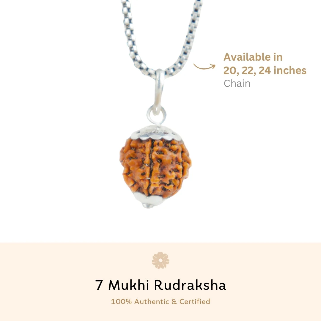 7 Mukhi Rudraksha Silver Capping Pendant ( Nepali ) — Nepal photo 3