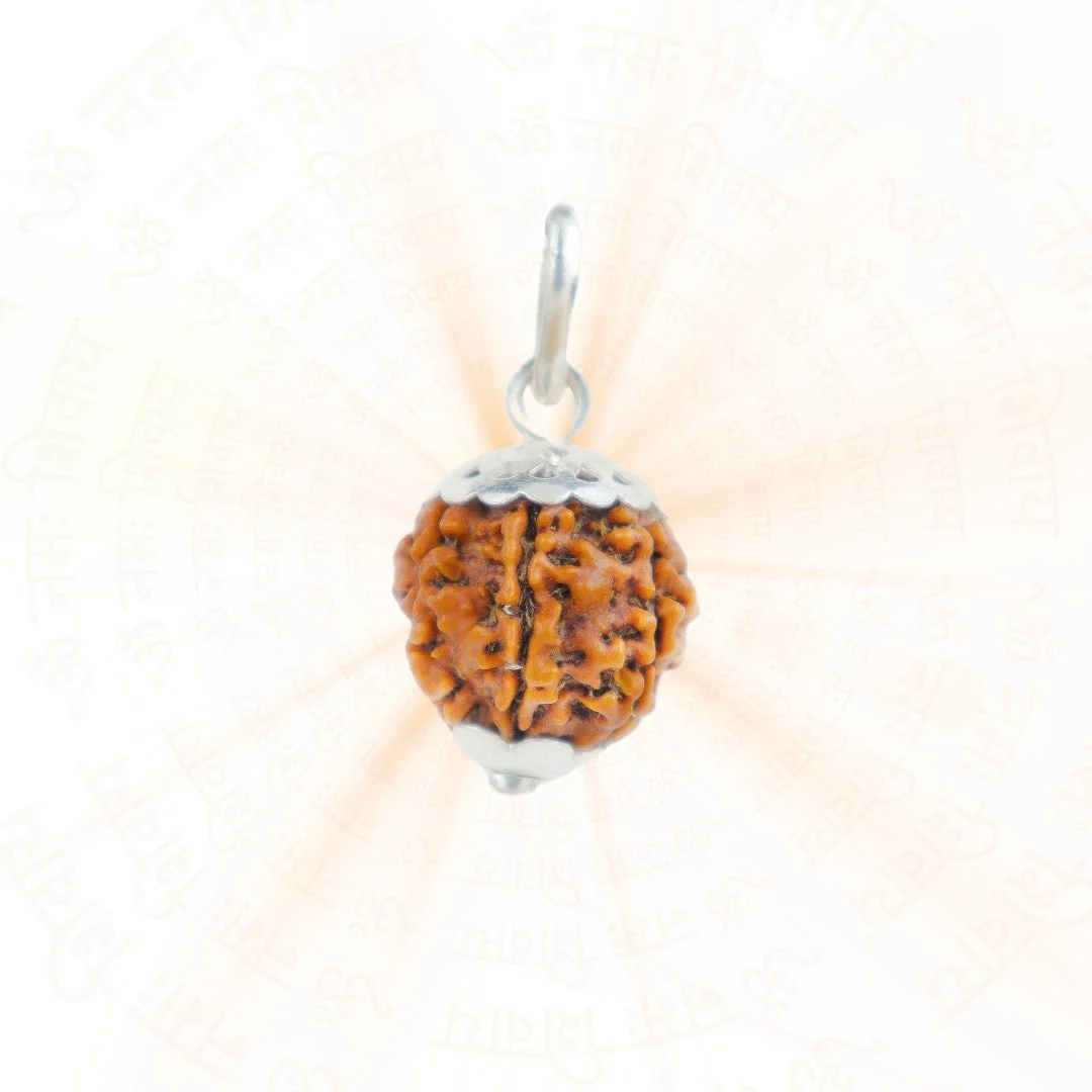 7 Mukhi Rudraksha Silver Capping Pendant ( Nepali ) — Nepal photo 2