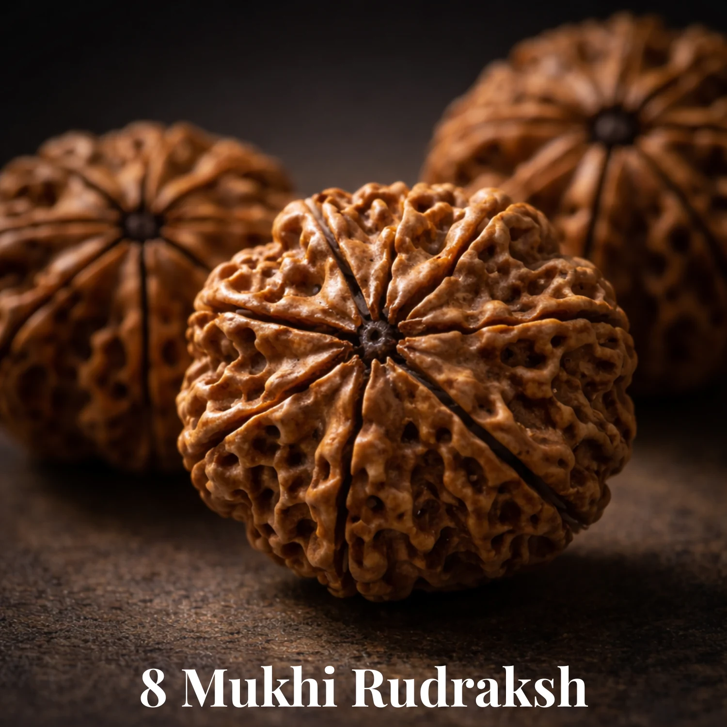 8 Mukhi Nepali Rudraksha