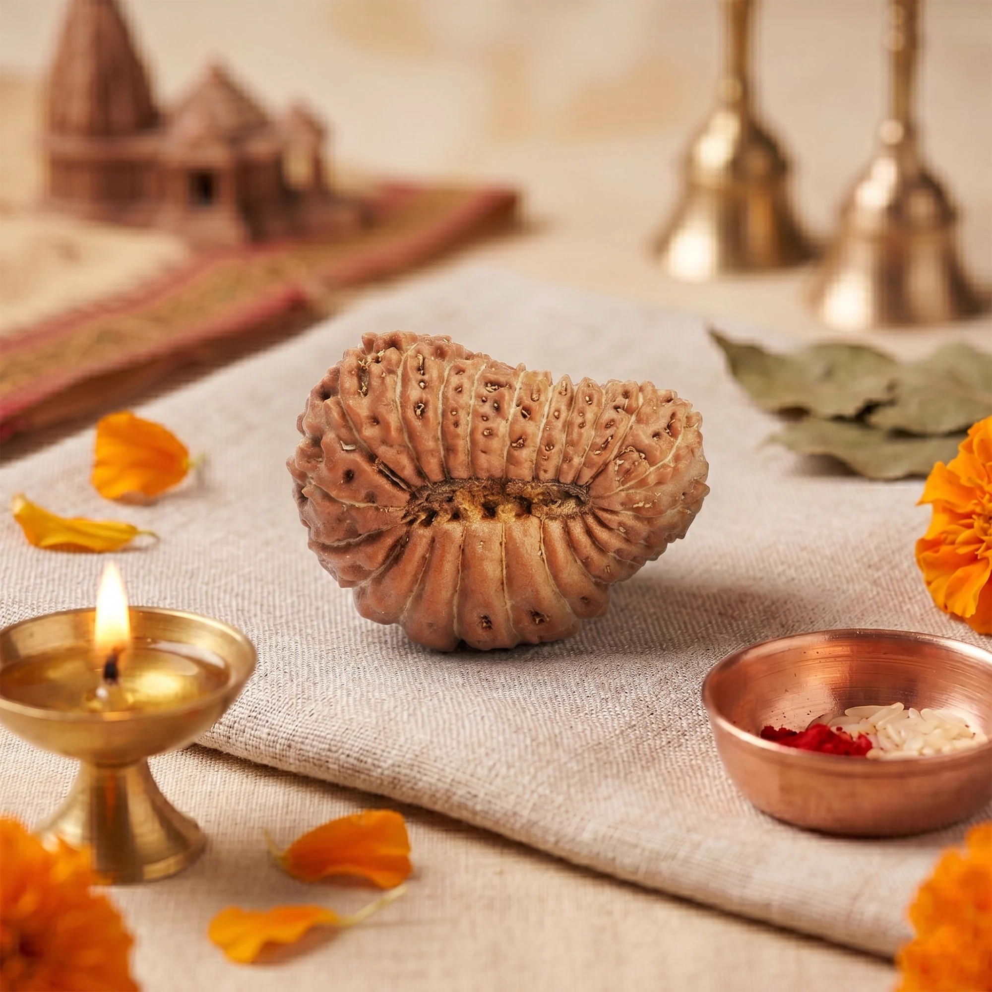 21 Mukhi Rudraksha – Original Nepali Collector Bead