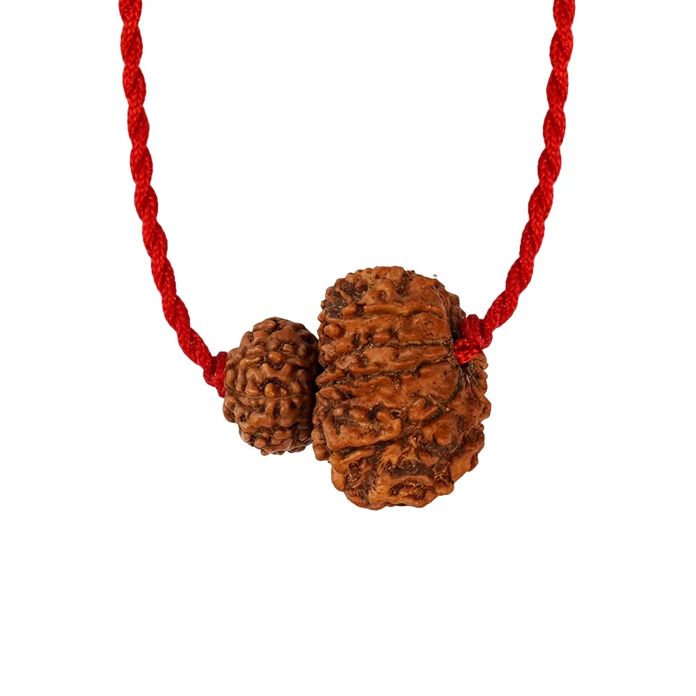 Surya-Rahu Grahan Dosh Kavach – 8 & 12 Mukhi Rudraksha