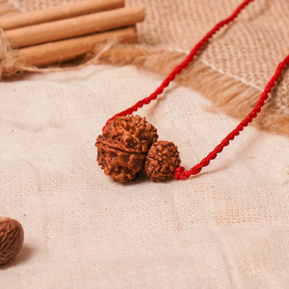 Surya-Rahu Grahan Dosh Kavach – 8 & 12 Mukhi Rudraksha — Nepal photo 2