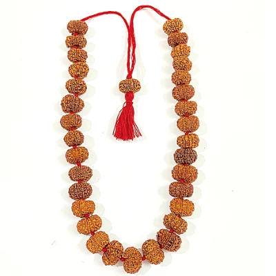 8 Mukhi Rudraksha Mala 108+1 Beads (Nepali)