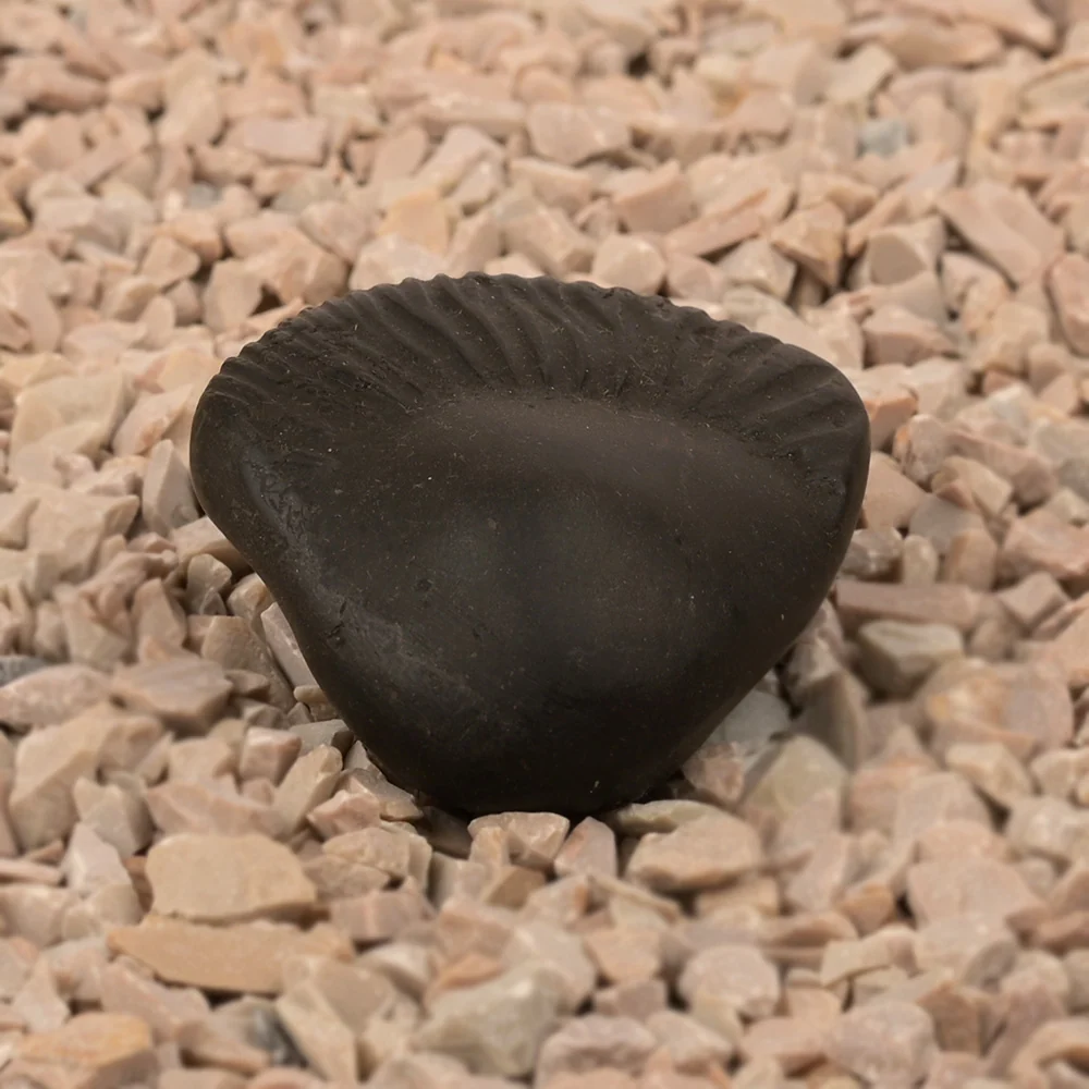Parshuram Shaligram Shila — view 3