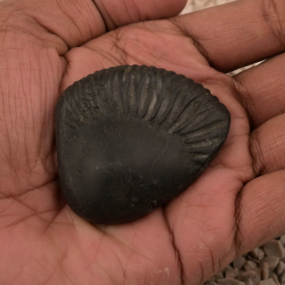 Parshuram Shaligram Shila — view 5