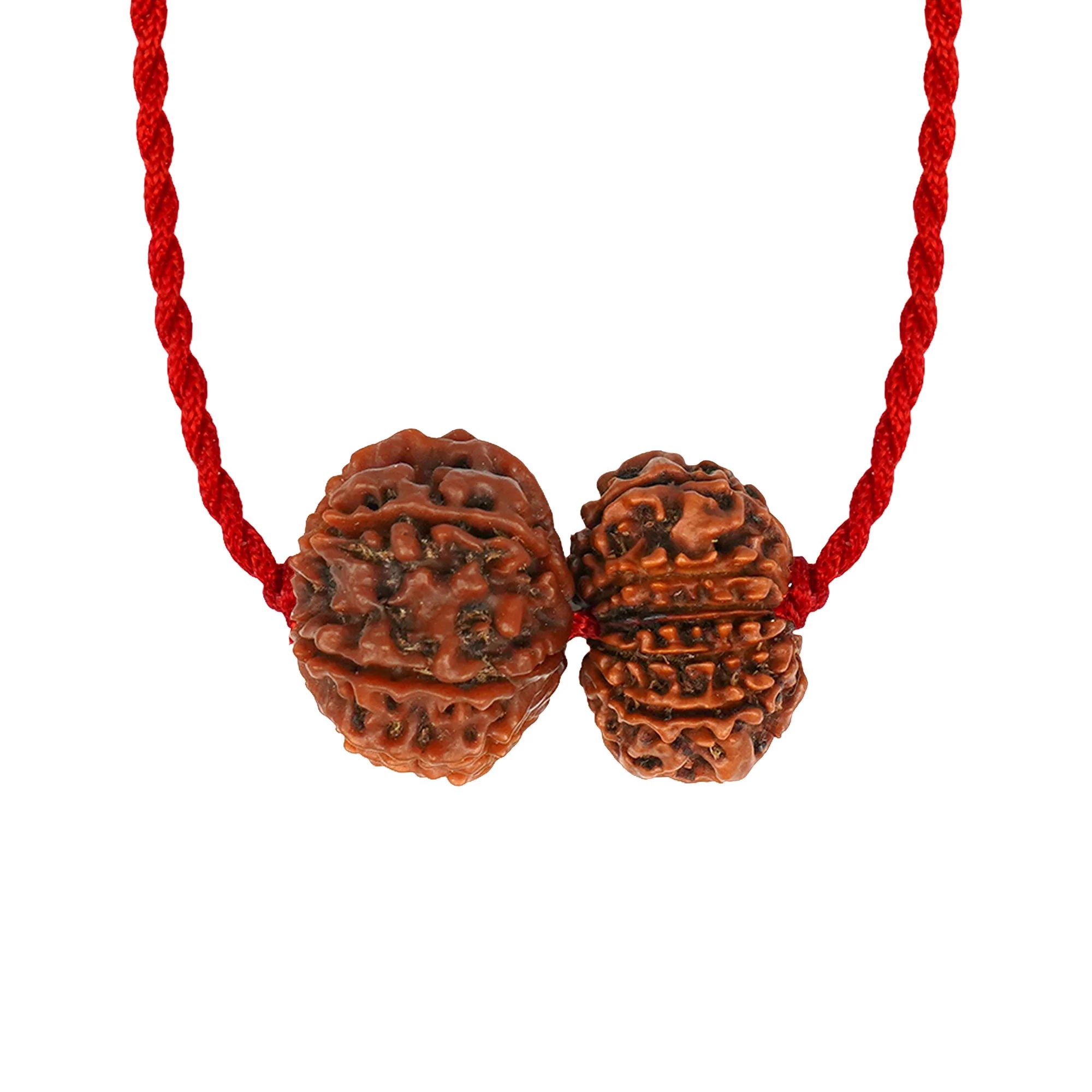 Surya-Ketu Grahan Dosh Kavach – 9 & 12 Mukhi Rudraksha