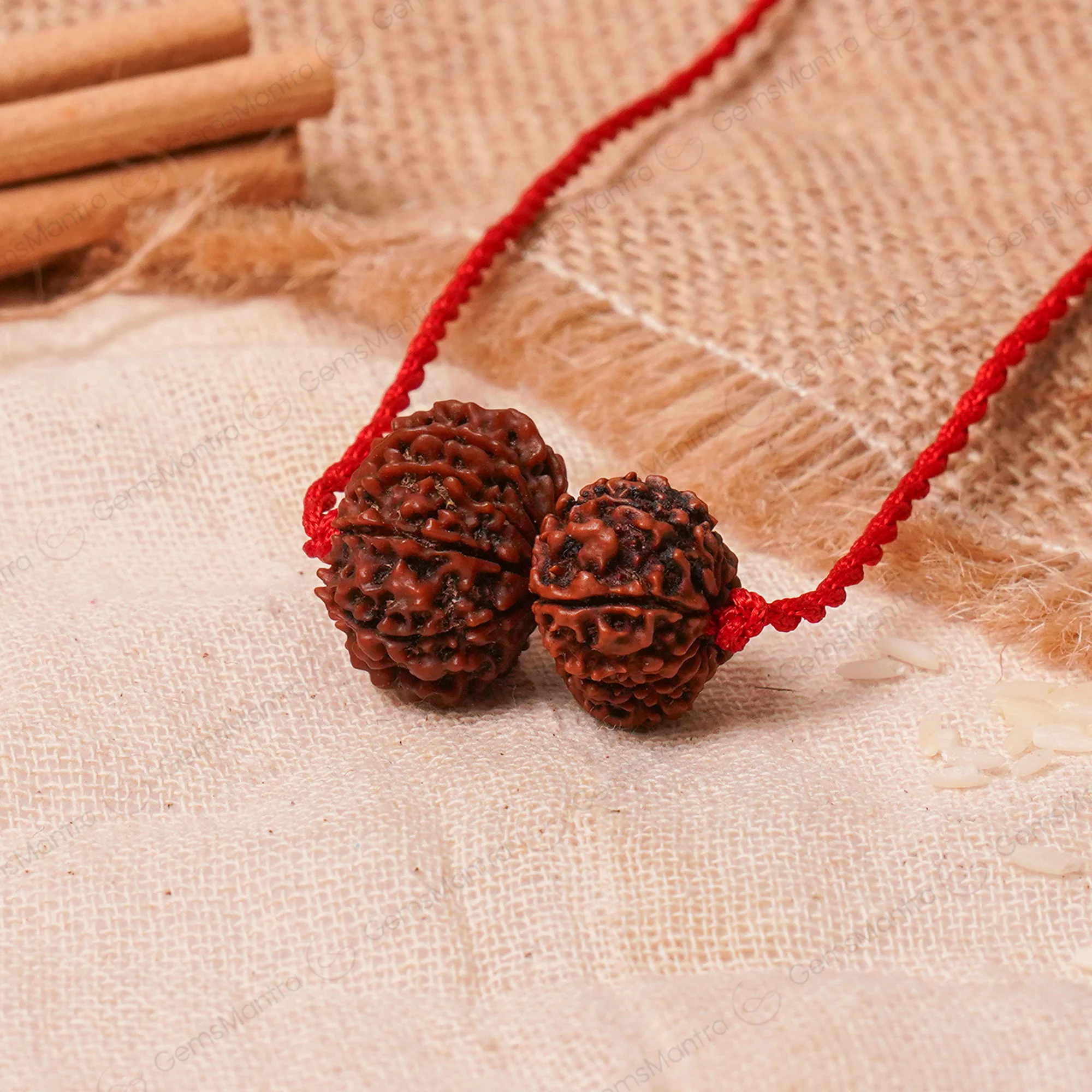 Surya-Ketu Grahan Dosh Kavach – 9 & 12 Mukhi Rudraksha — Nepal photo 3