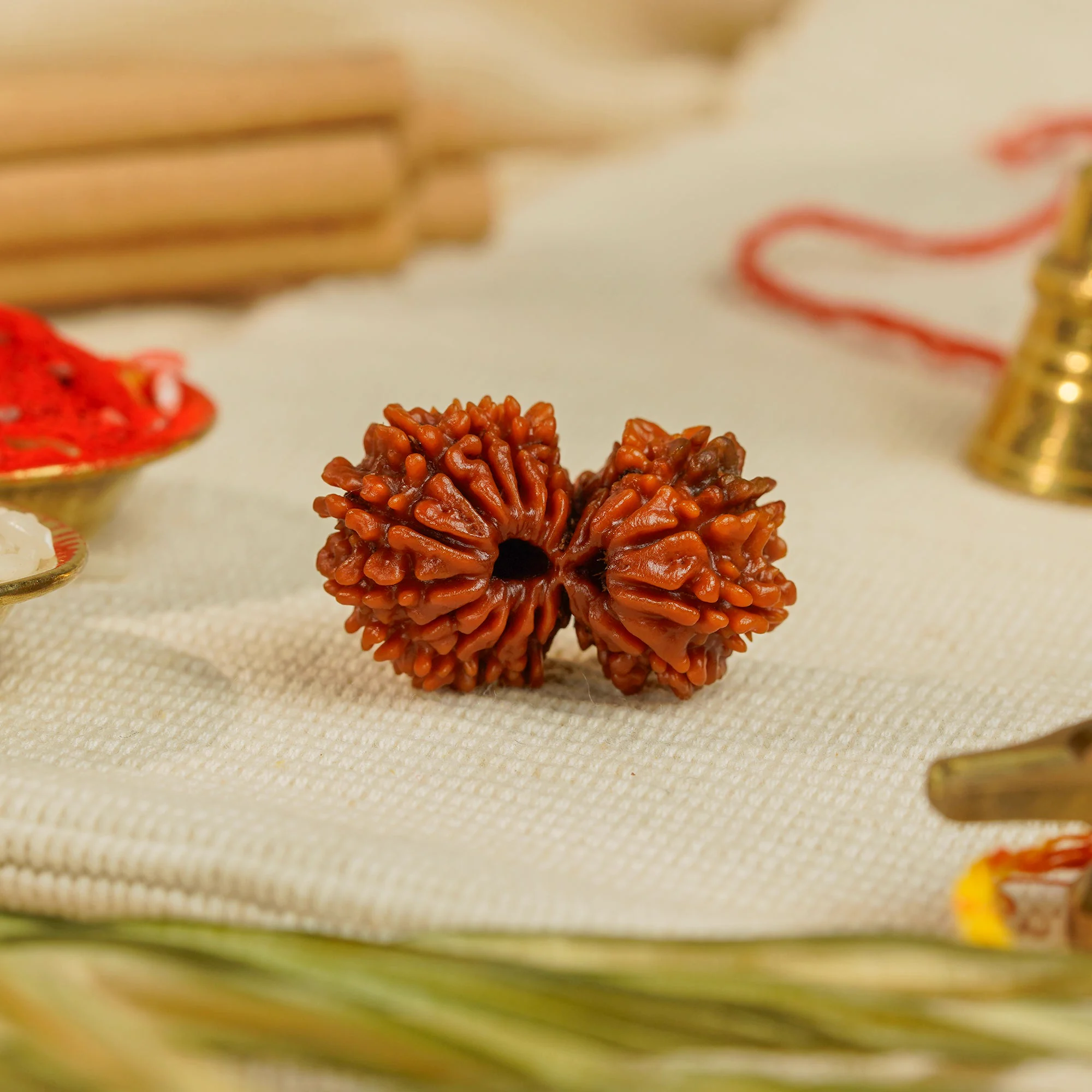 18 Mukhi Gauri Shankar Rudraksha – Original Nepali Collector Bead