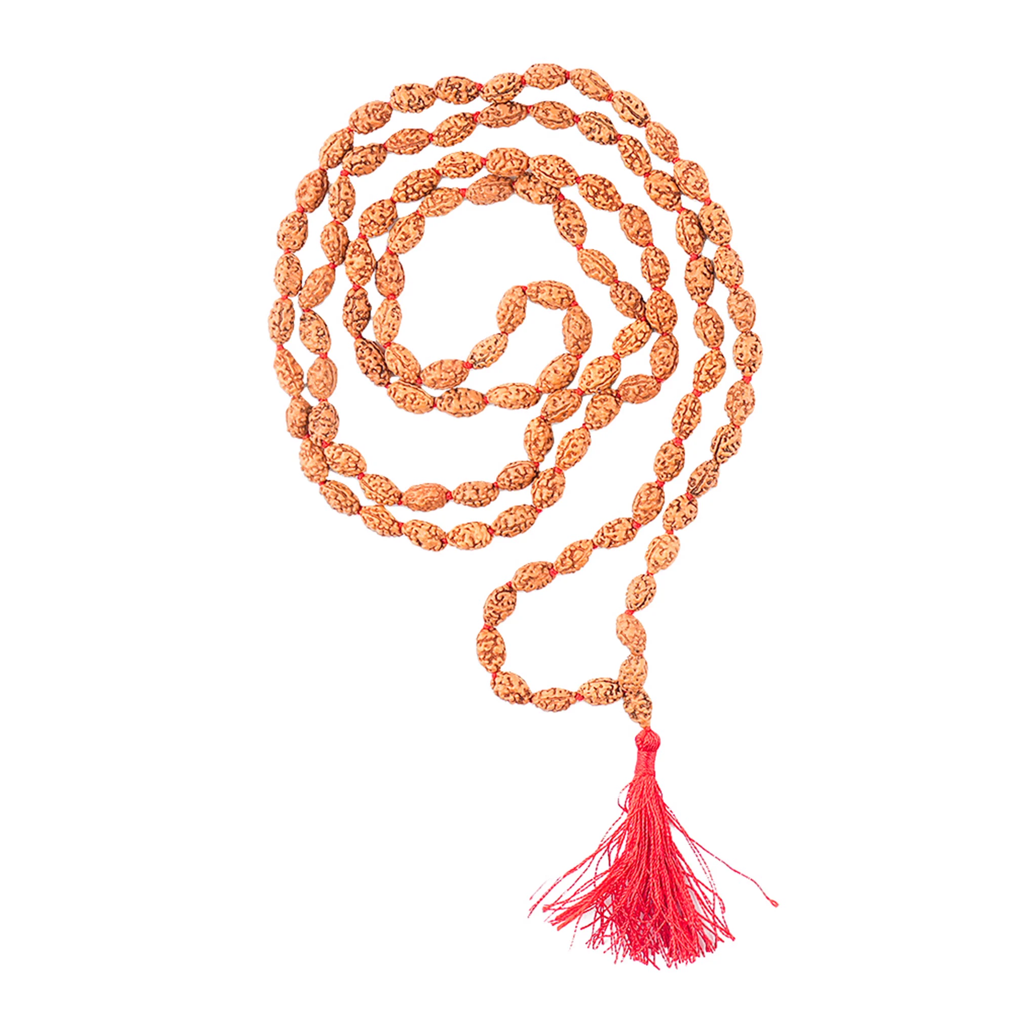 2 Mukhi Rudraksha Japa Mala – 108+1 Java Beads — Indonesia photo 4
