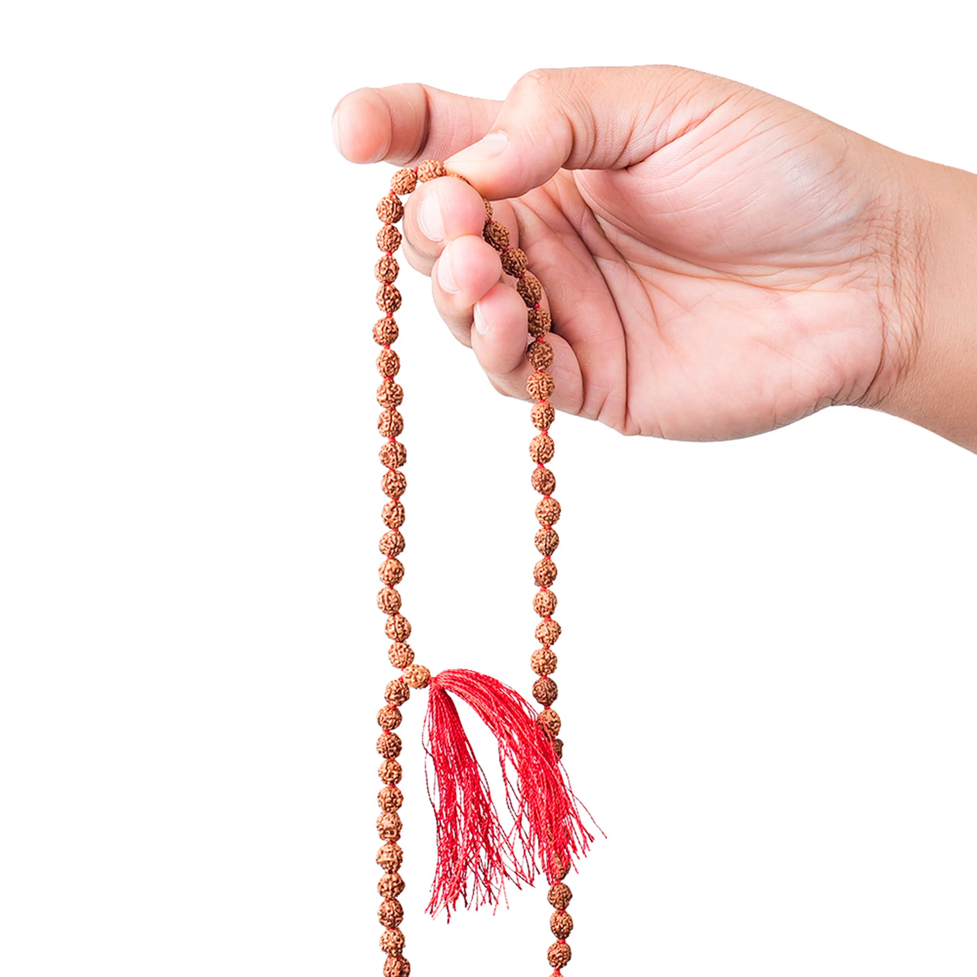2 Mukhi Rudraksha Japa Mala – 108+1 Java Beads — Indonesia photo 2